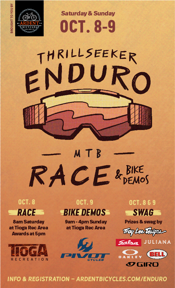 Enduro poster